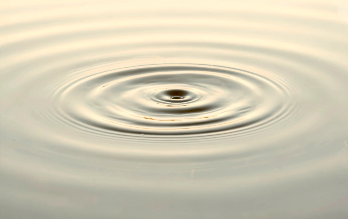 Esencija mentalnog mira